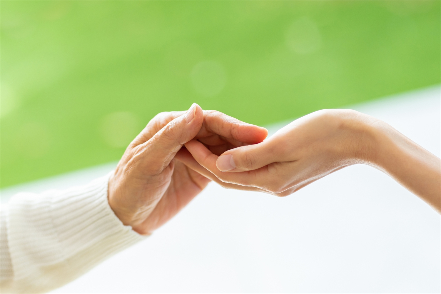 事業内容 下部コンテンツ 画像